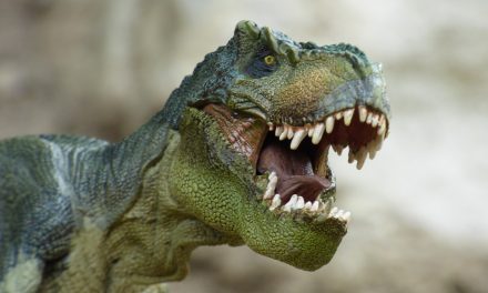 Tyrannosaurus – the most interesting information about these animals